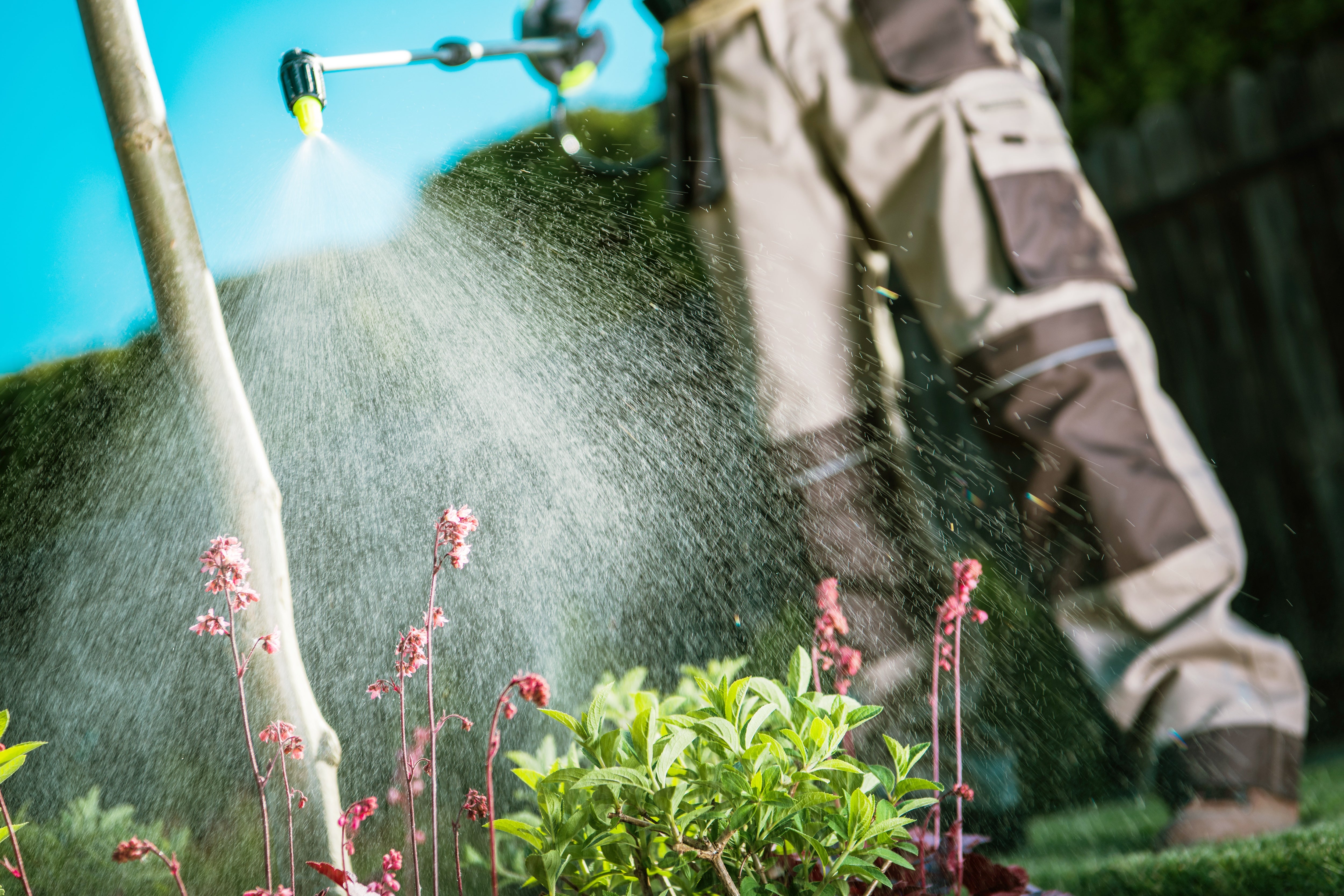 Garden Sprayers – Mr Greenfinger Lawn Mowers