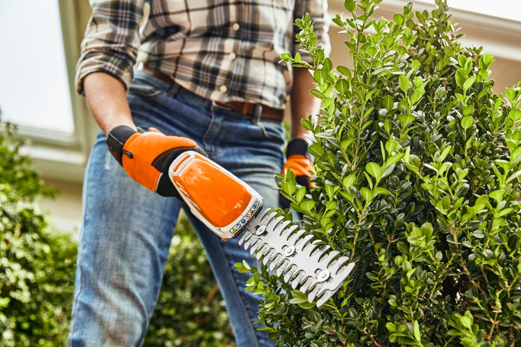 STIHL HSA 26 200mm Cordless Hedge Trimmer - AS System