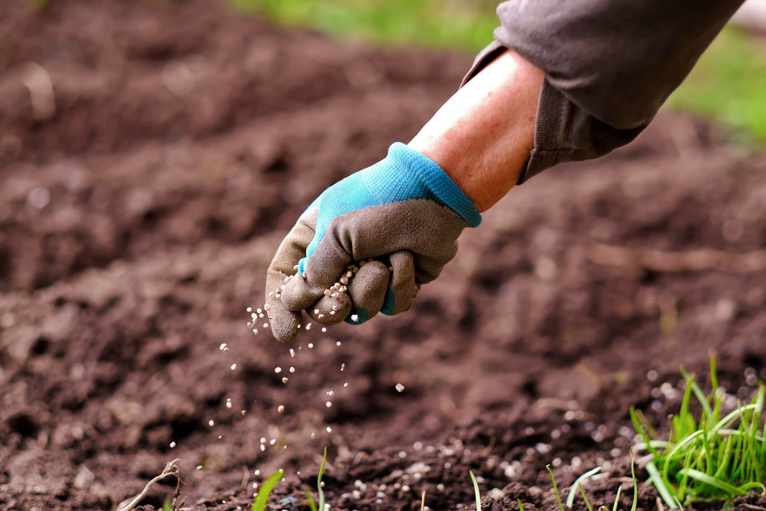 Compost and Fertilizer at Mr Greenfinger