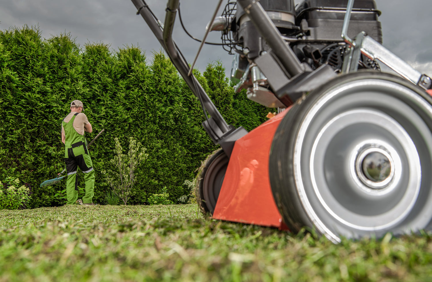 Petrol Lawn Mowers