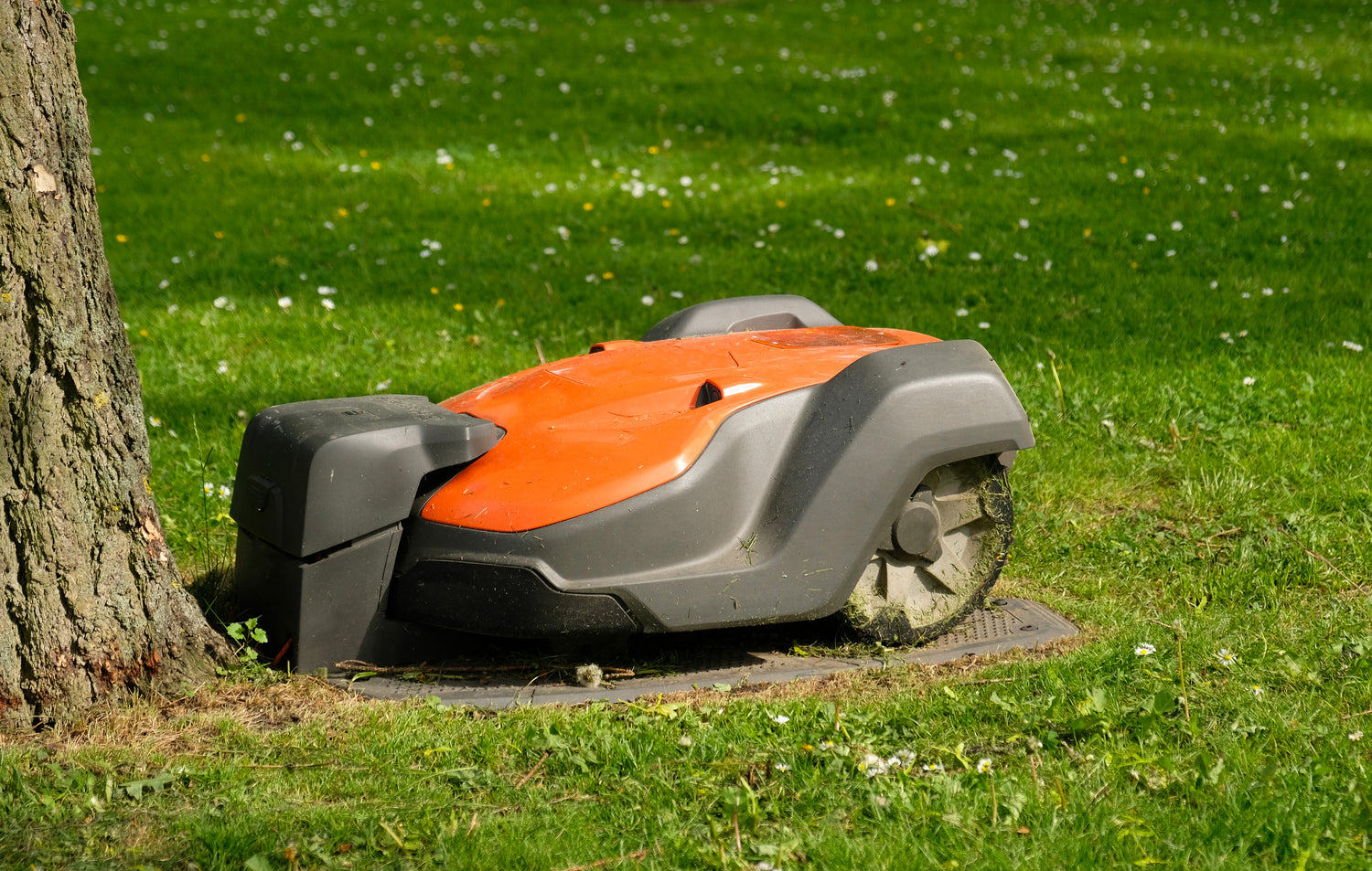 Auto Mowers