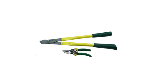 Lasher Combo Lop Shear & Secateur