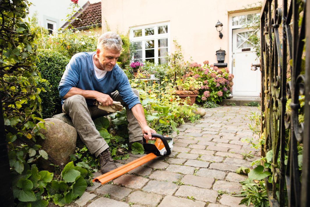 STIHL HSA 45 500mm Cordless Electric Hedge Trimmer - AI LINE